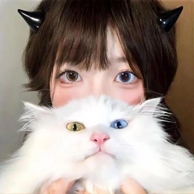 归宿